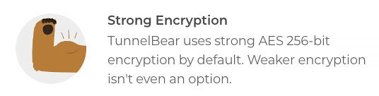 TunnelBear review: data encryption.